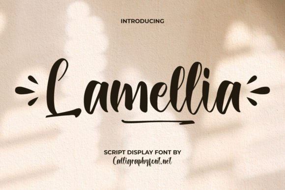 Lamellia Font: A Playful Script for Bold Campaigns